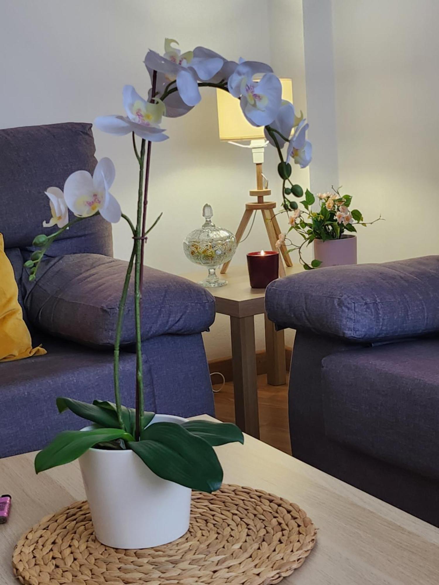 Casa Gara Isabel Apartament